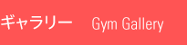 ギャラリー